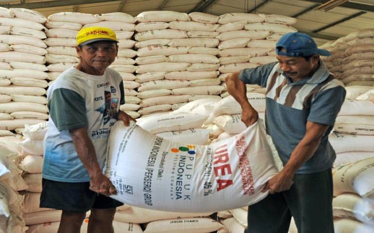 Alokasi Pupuk Subsidi Batubara Bertambah, Kios Penyalur Jual di Atas HET Diberi Sanksi