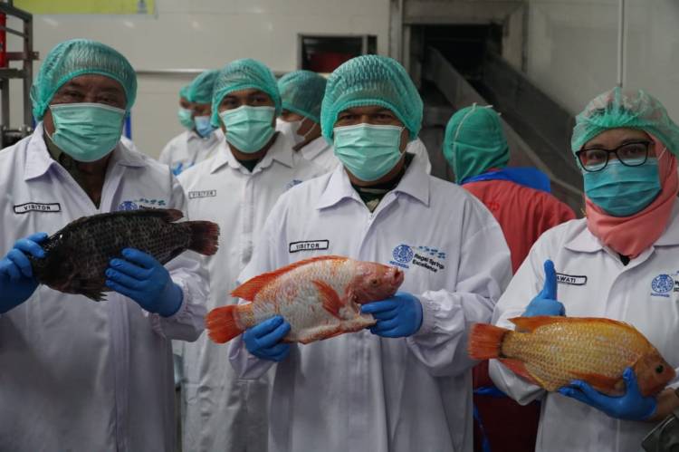 RSI Terima Kunjungan Pangdam I/BB di Pabrik Pengolahan Ikan Tilapia