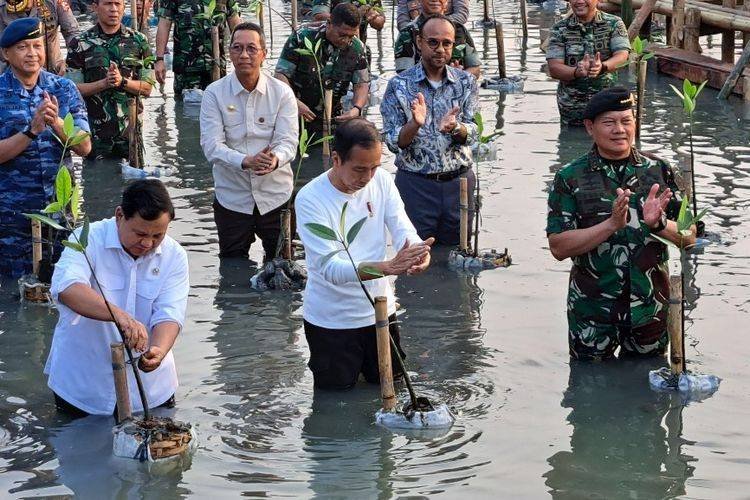 Jokowi Tanam Mangrove Bareng Prabowo dan Panglima-Kapolri