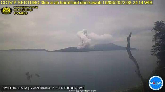 Gunung Anak Krakatau Erupsi, Semburan Abu Capai 1,5 Km