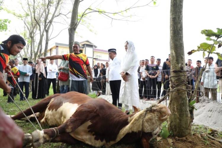 Polda Sumut Salurkan 70 Ekor Hewan Kurban