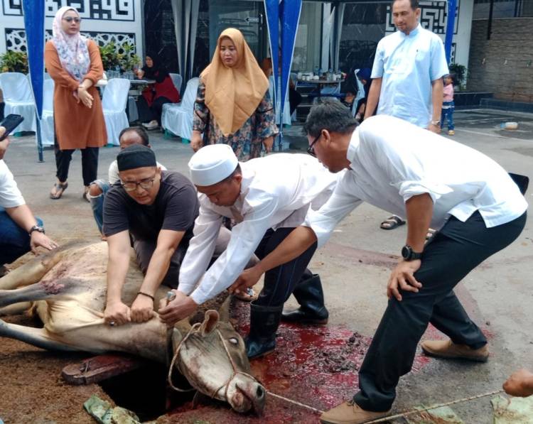 Wujud Rasa Syukur, BRI Cabang Binjai Sembelih 7 Hewan Kurban