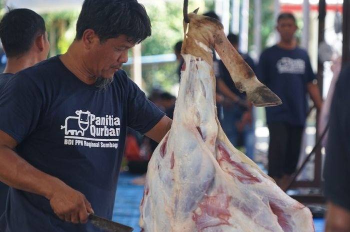 Pertamina Patra Niaga Regional Sumbagut Salurkan 87 Hewan Kurban