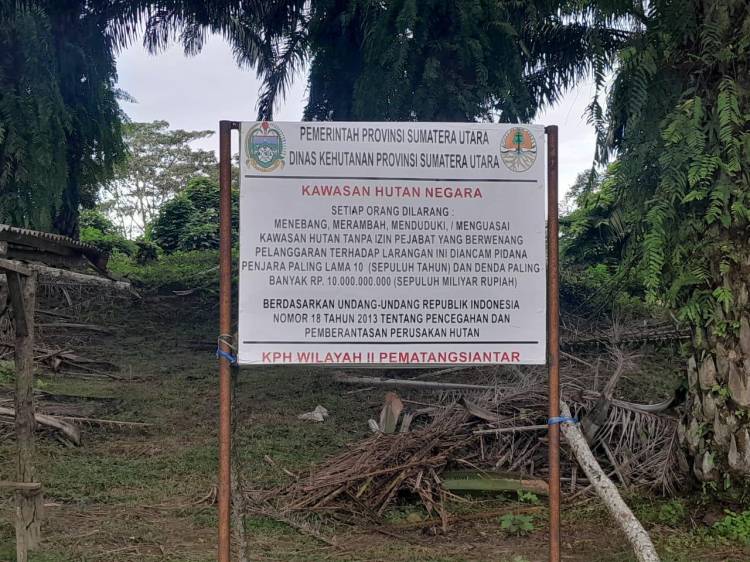 PTPN IV Bahbirong Ulu Kuasai Puluhan Hektare Lahan Hutan di Nagori Panombeian Huta Urung