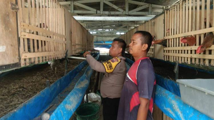 Polsek Pangkalan Berandan Ajak Peternak Ayam Manfaatkan Limbah Jadi Pupuk