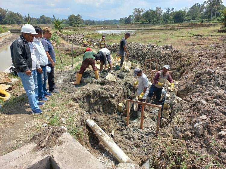 Rehabilitasi Daerah Irigasi Siborna Berbiaya Rp 2, 6 M Dikerjakan