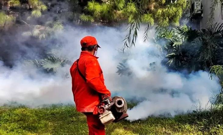 Sumut Endemis DBD, Jumlah Kasus Capai 2.494 Orang