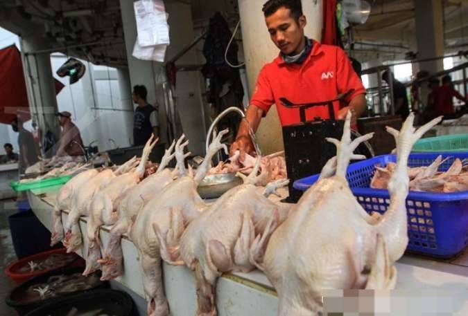 Harga Ayam di Madina Mahal, Gubsu Minta Camat Ajari Warga Beternak