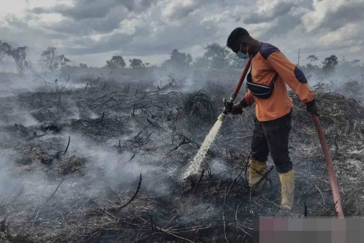 Polri Instruksikan Tiap Polda Komitmen Cegah Kebakaran Hutan dan Lahan