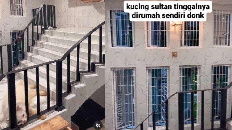 Viral Rumah Kucing Lebih Mewah Dari Rumah Netizen, Ada AC dan Bertingkat