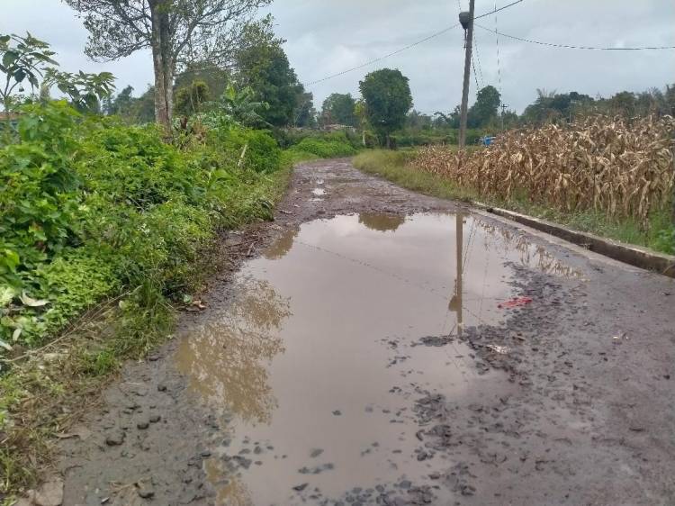 Jalan Menuju Desa Spinggan Rusak