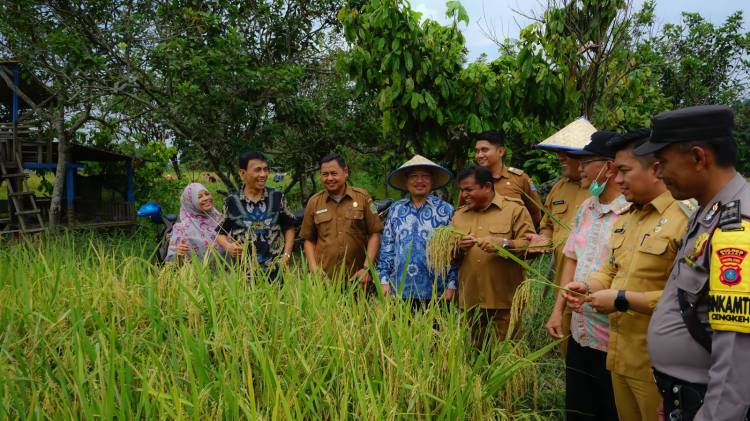 Kelurahan Cengkeh Turi, Kecamatan Binjai Utara Gelar Panen Raya