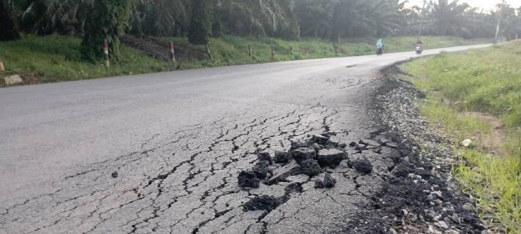 Diduga Kejar Kontrak, Perbaikan Jalan Provinsi di Palas Asal Jadi