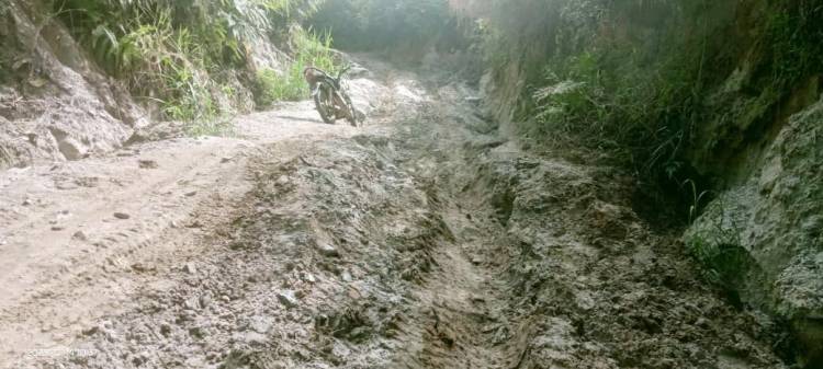 Warga Desa Sukadame Tanah Pinem Dairi Keluhkan Kondisi Jalan Antar Dusun yang Rusak Berat