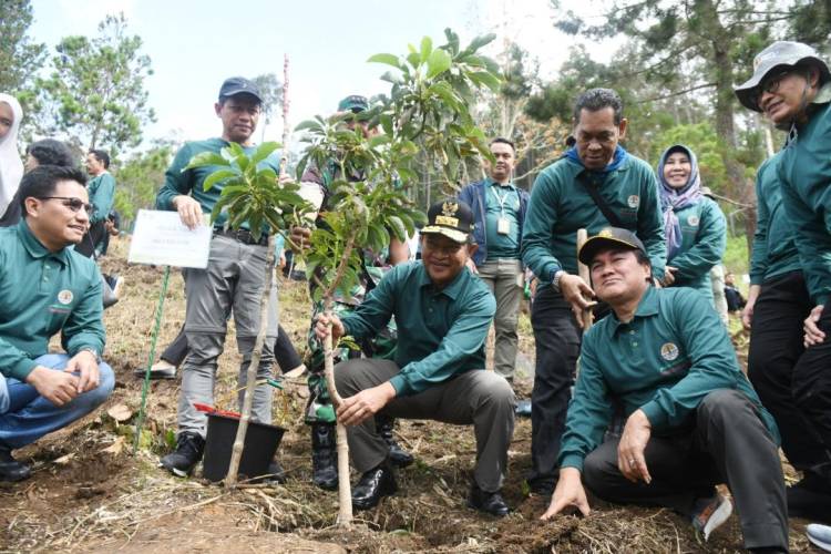 Pj Gubsu dan Bupati Simalungun Tanam Pohon di Sipolha Horisan