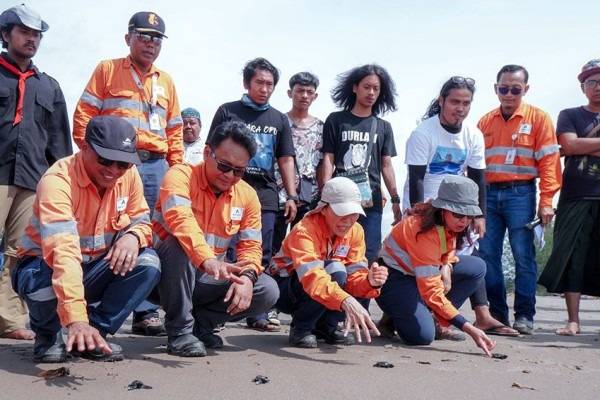 Agincourt Resources Lepas 1.000 Anak Penyu di Pantai Barat Muara Opu Tapsel