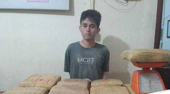 Seorang Kurir 32 Ball Ganja Ditangkap Satres Narkoba Polres Padangsidimpuan