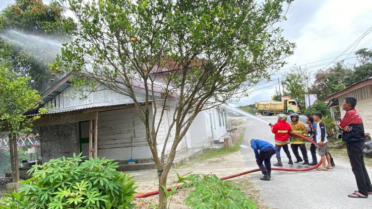 Petugas Damkar Taput Musnahkan Sarang Lebah karena Meresahkan Warga