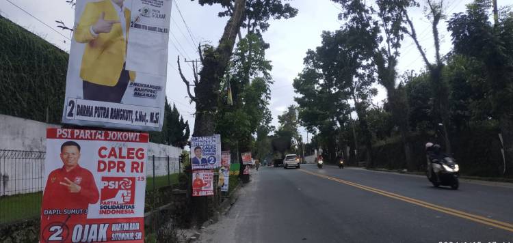 Poster Caleg Bertaburan Hiasi Pepohonan di Perlintasan Jalan Medan Pematang Siantar