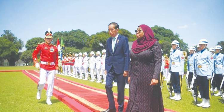 Jokowi dan Presiden Tanzania Sepakat Perkuat Kerja Sama Selatan-Selatan