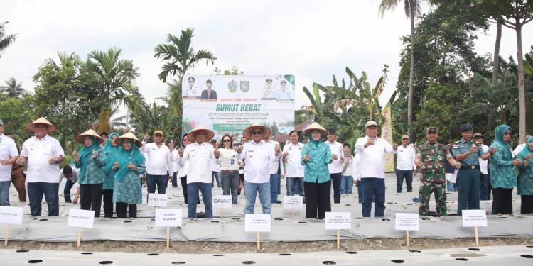 Pj Gubernur Sumut Tanam Cabai di Desa Serdang