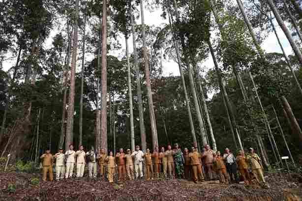 Hutan Kapur Disiapkan Sebagai Objek Wisata Alam di Pakpak Bharat
