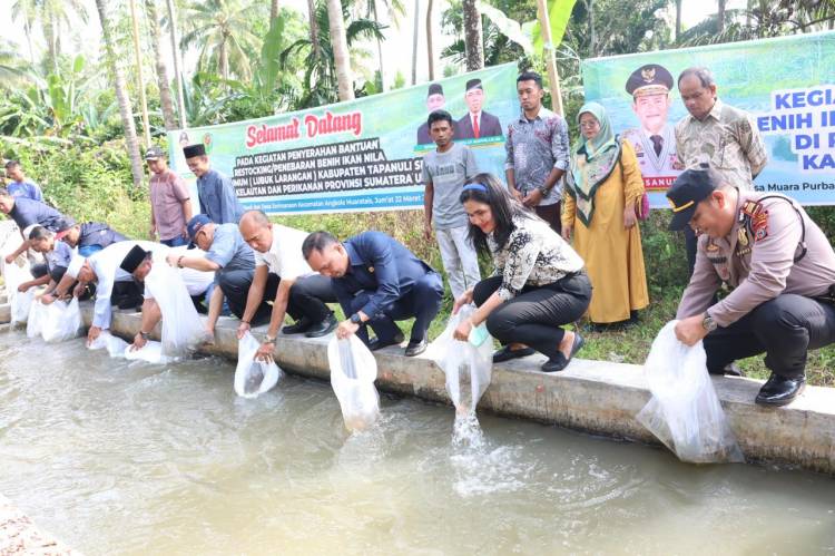 Bupati Tapsel Bersama Masyarakat Muara Purba Nauli dan Sori Manaon Tebar Benih Ikan Nila