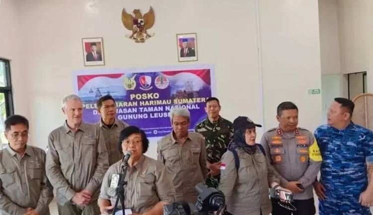 Menteri KLHK Lepas Beru Situtung dan Ambar ke Kawasan Hutan TNGL