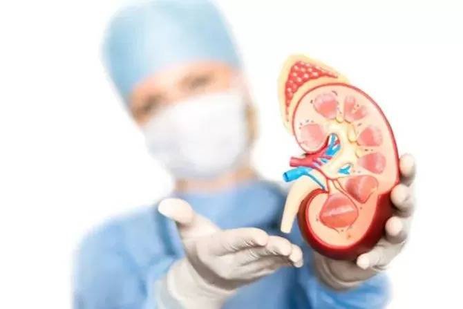 RS Adam Malik Lakukan Operasi Transplantasi Ginjal Ketujuh, Selanjutnya Bisa Mandiri