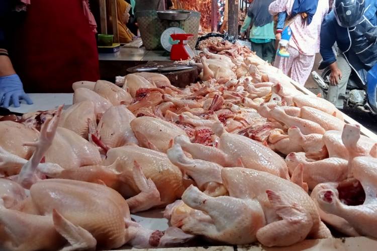Harga Daging Ayam dan Bawang Merah di Medan Bertahan, Harga Gula Dekati Rp 20.000/Kg