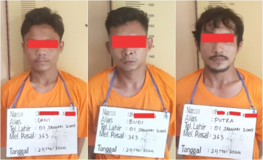 Polsek Marbau Tangkap 3 Pencuri Sapi, 2 Pelaku Kabur