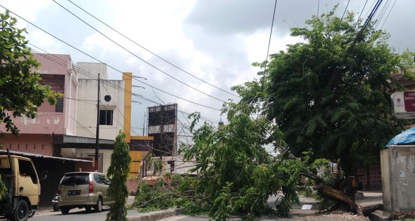 Pohon Tumbang, Macet di Simpang Rambung Tebingtinggi