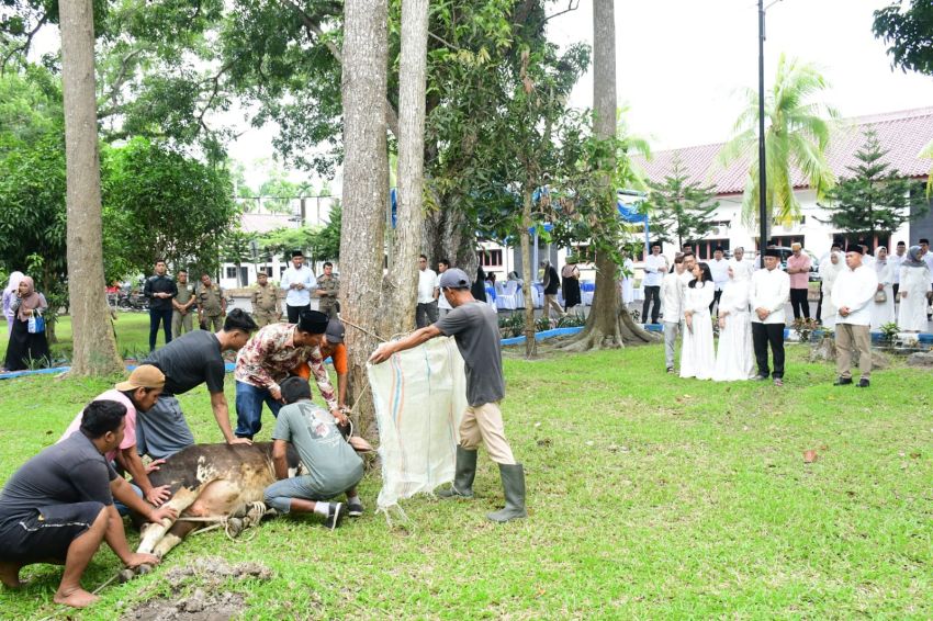 Pemkab Deliserdang Distribusi dan Sembelih 42 Ekor Hewan Kurban