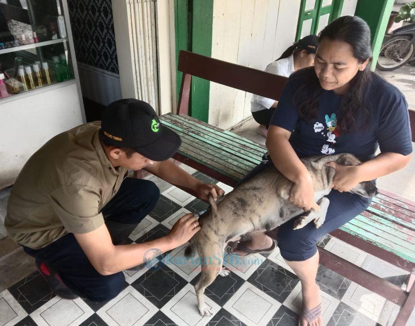 Distan Simalungun Suntik Vaksin Rabies Lima Ribu Anjing