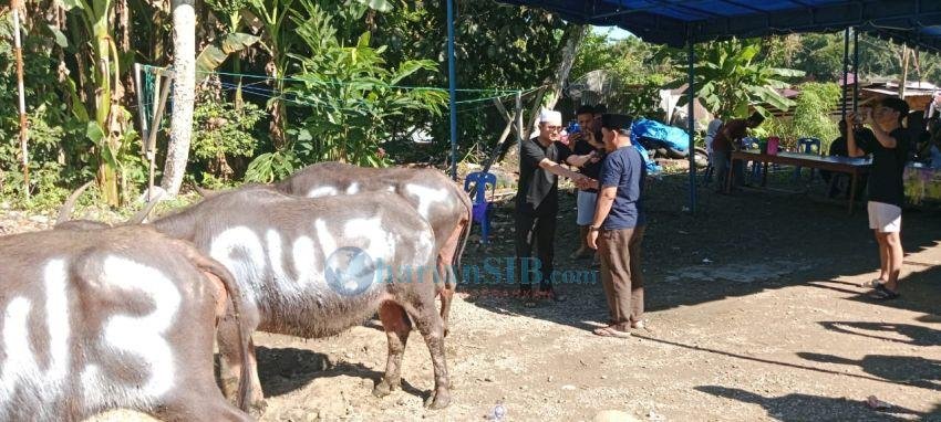 H Awaludin Pane Bin Abdul Munaf Salurkan 3 Ekor Hewan Kurban untuk Warga di Nias