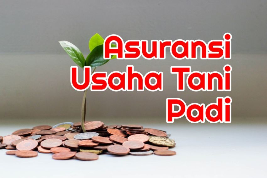 Petani Peserta AUTP di Sumut Minim, Target Lahan 2,5 Juta yang ada Baru 339,5 hektar