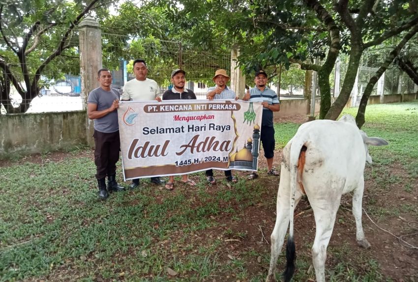 Idul Adha 1445 H, PT KIP Salurkan 5 Ekor Hewan Kurban
