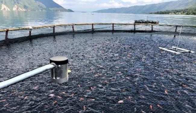 Kecelakaan Kerja, Seorang Karyawan PT Aqua Farm Nusantara Meninggal Dunia