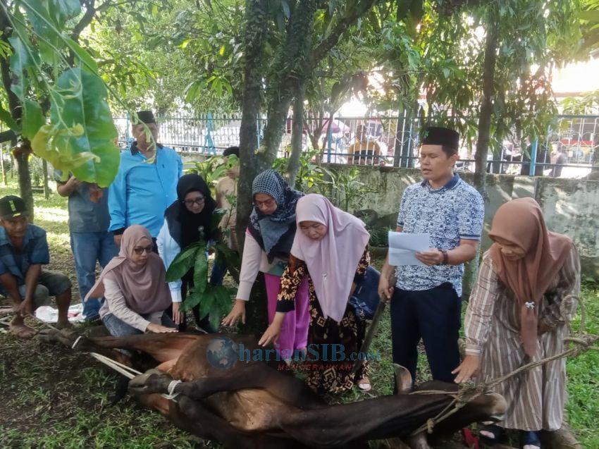 SMAN 2 Pematangsiantar Sembelih Satu Ekor Sapi