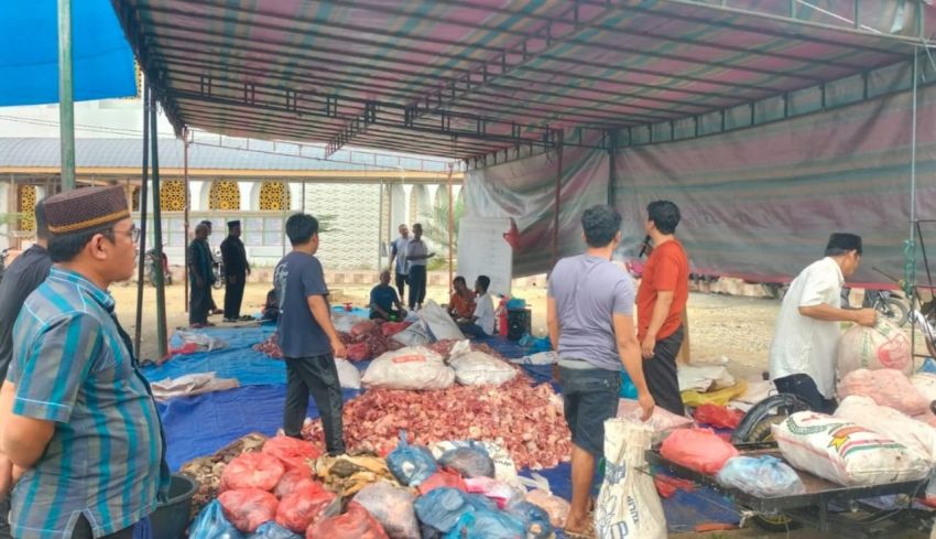 Iduladha 1445 H, Ratusan Lembu Disembelih di Labura, Wartawan SIB Kurban di Masjid Al-Makmur Aekkanopan
