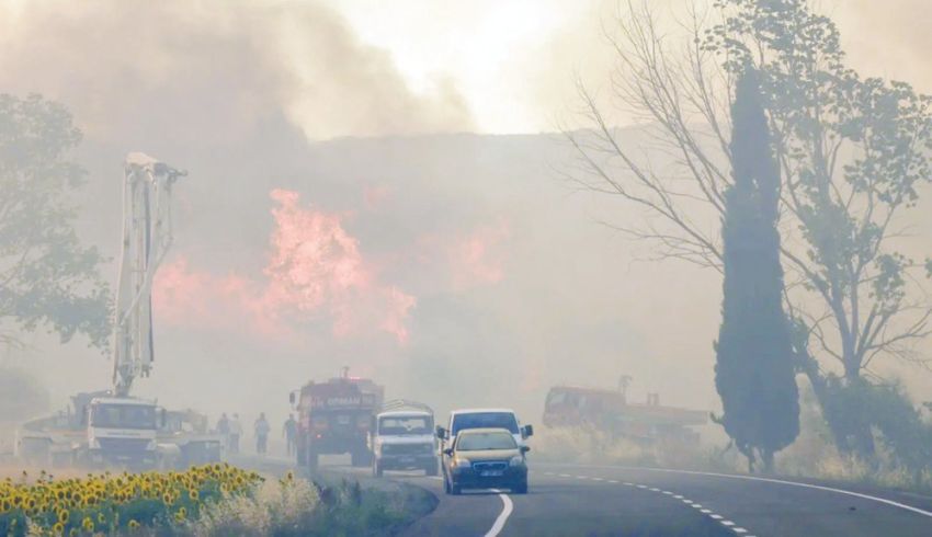 Kebakaran Hutan Hanguskan Desa di Turki, 5 Orang Tewas