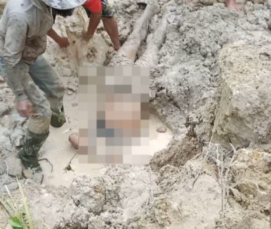 Seorang Pekerja di Sawah Tewas Tertimpa Longsor di Desa Sibalanga