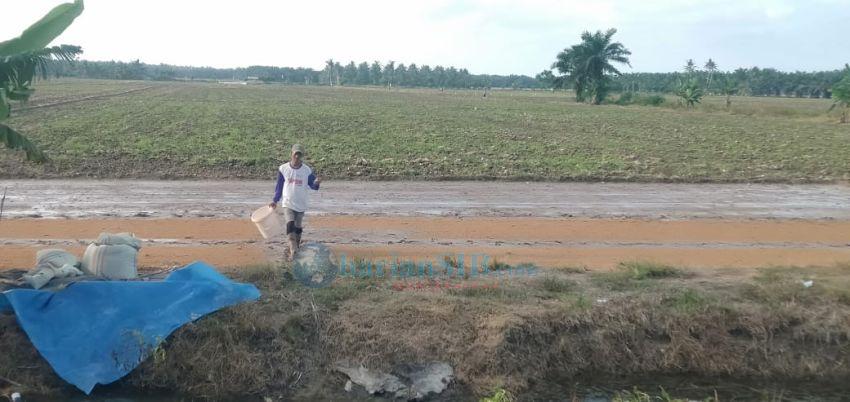 Petani di Sei Lebah Asahan Mulai Turun Ladang Menanam Padi