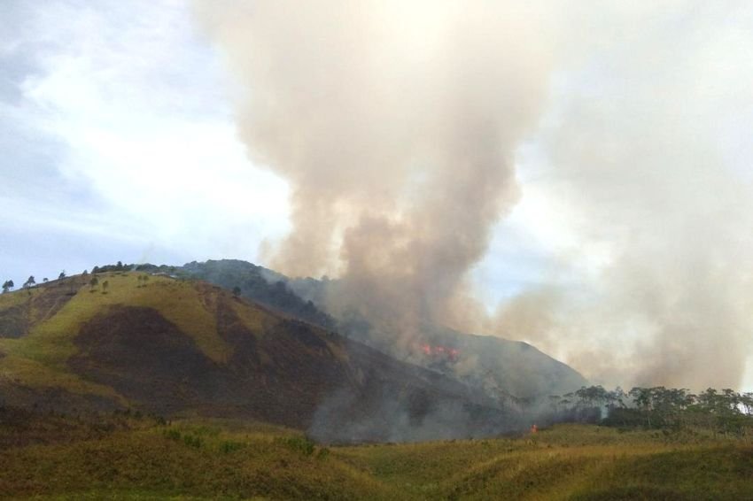 Kawasan Hutan Tanduk Benua di Simalungun Terbakar