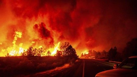 Ratusan Ribu Hektar Hutan di California Hangus Terbakar
