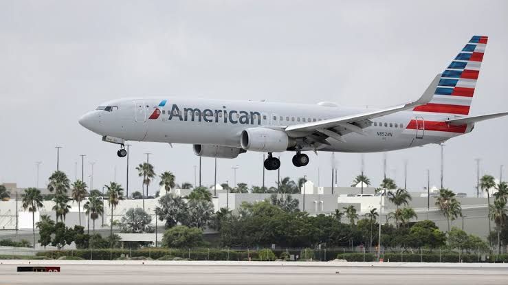 American Airlines Mendarat Darurat Gara-gara Kutu Rambut