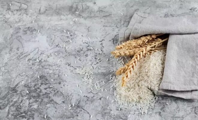 Kesempatan Indonesia Jadi Lumbung Pangan Dunia 2029 Sangat Terbuka