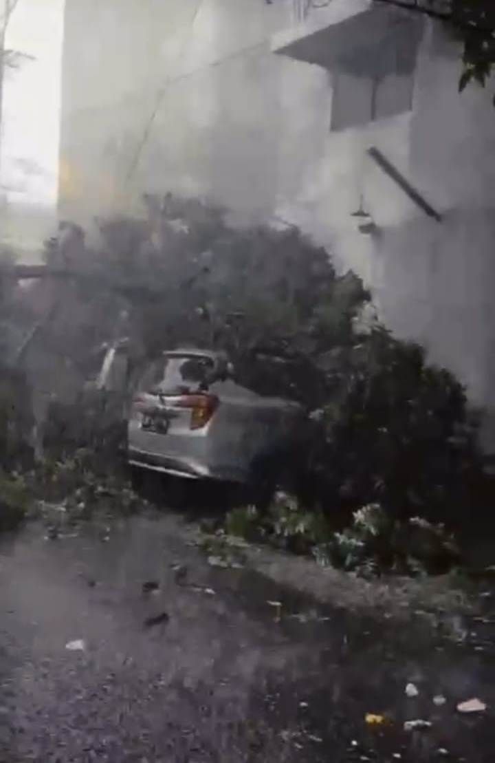 Akibat Hujan Disertai Angin Kencang, Pohon Besar Tumbang dan Timpa 2 Mobil di Medan Timur