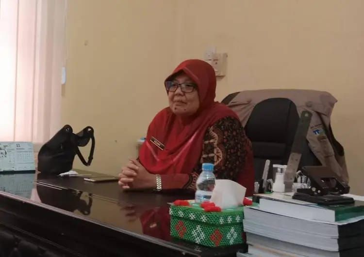 Kasus DBD di Tebingtinggi Meningkat, Dinkes Imbau Warga Terapkan 3M