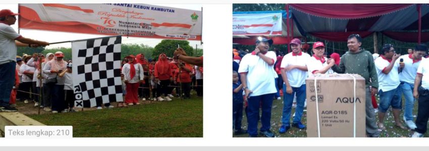 Sambut HUT ke-79 RI, PTP Nusantara IV Regional 1 Kebun Rambutan Gelar Gerak Jalan Santai